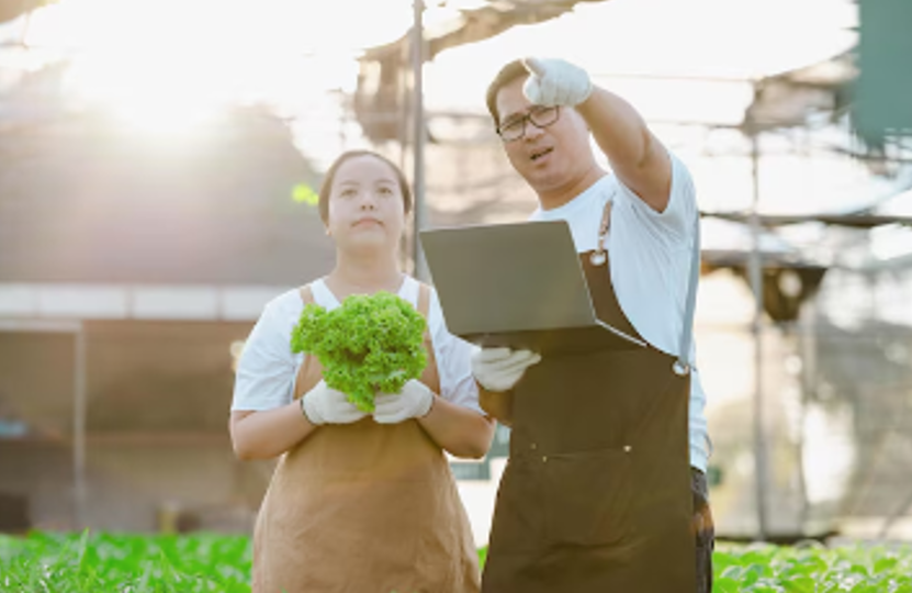 ข้อมูลตัวอย่าง : กรมการพัฒนาชุมชน ยกทัพสินค้า OTOP จากภูมิปัญญาท้องถิ่น เข้าเมืองกรุง